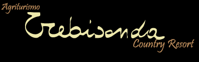Azienda Agricola Trebisonda - Home Page