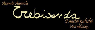 Azienda Agricola Trebisonda - Home Page