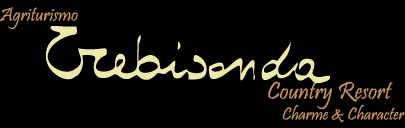 Azienda Agricola Trebisonda - Home Page