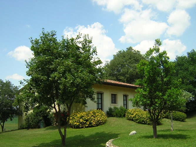 Azienda Agricola Trebisonda