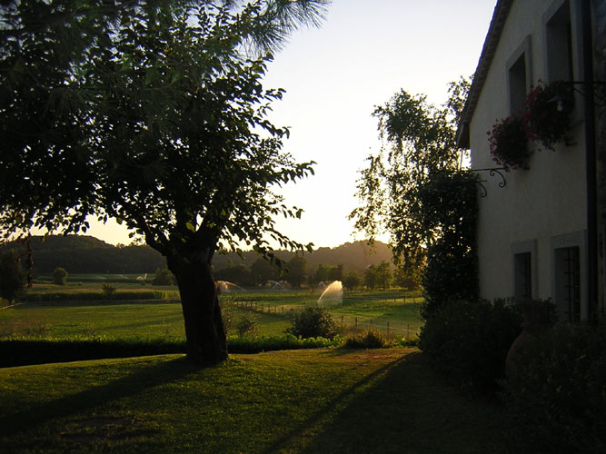 Azienda Agricola Trebisonda