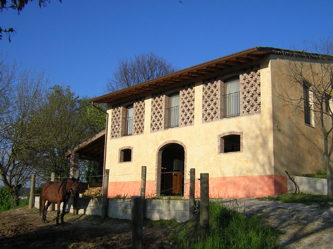 Azienda Agricola Trebisonda