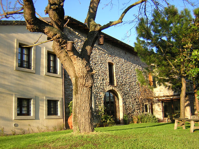 Azienda Agricola Trebisonda